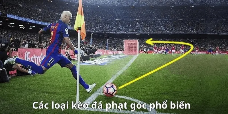 tỷ lệ kèo phạt góc Các loại kèo phạt góc phổ biến