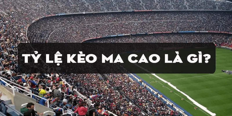 Tỷ lệ kèo Macao chính xác giúp người chơi Xoilac thắng lớn