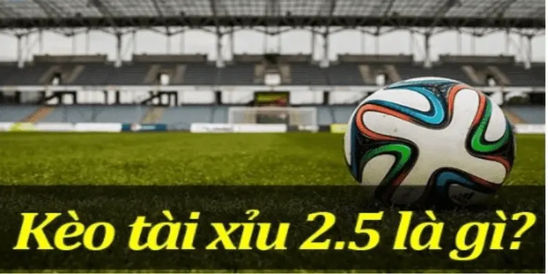 Kèo Chấp 2 2.5 Cách đọc và phân tích Kèo Chấp 2 2.5