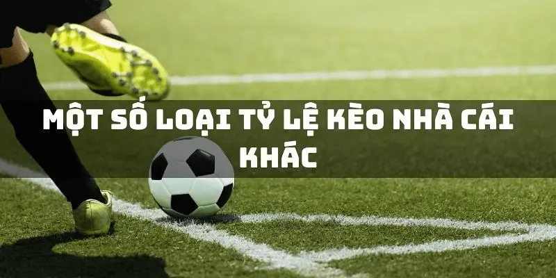 Tỷ lệ kèo trực tuyến Xoilac phân tích chuẩn xác mọi trận đấu