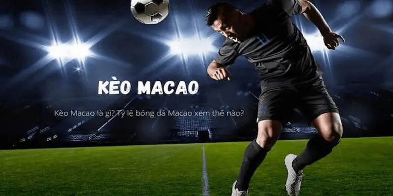 tỷ lệ kèo Macao Chiến lược đặt cược dựa trên tỷ lệ kèo Macao