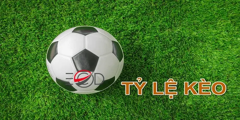 Hiểu đúng về tỷ lệ kèo trực tuyến