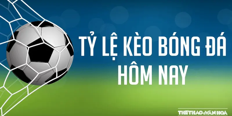 Tỷ lệ kèo hôm nay Xoilac: Cập nhật chính xác mọi trận đấu