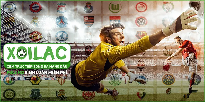 Kinh nghiệm soi kèo bóng đá trực tiếp tại Xoilac