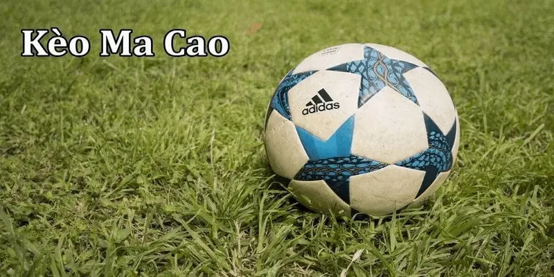 tỷ lệ kèo Macao Tại sao tỷ lệ kèo Macao quan trọng với người chơi Xoilac