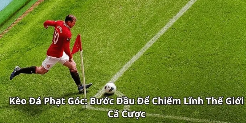 tỷ lệ kèo phạt góc Tại sao tỷ lệ kèo phạt góc quan trọng