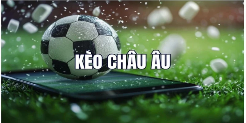 tỷ lệ kèo châu Âu Tầm quan trọng của tỷ lệ kèo châu Âu