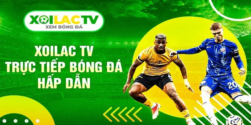 Soi kèo bóng đá trực tiếp chuẩn xác Xoilac phân tích sâu