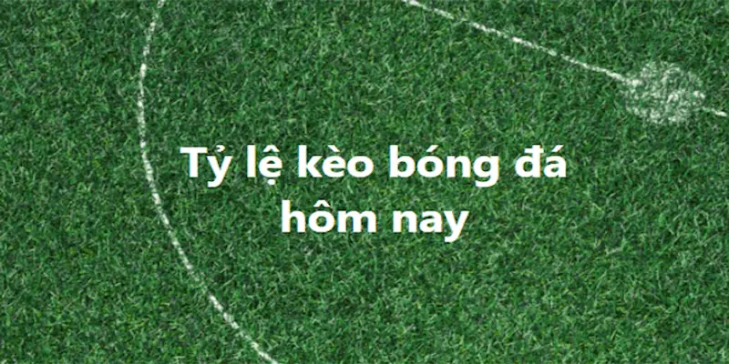 Vai trò của tỷ lệ kèo trực tuyến trong chiến lược cá cược