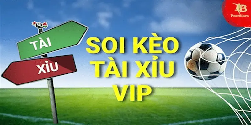 soi kèo vip Yếu tố tạo nên sự khác biệt trong soi kèo vip